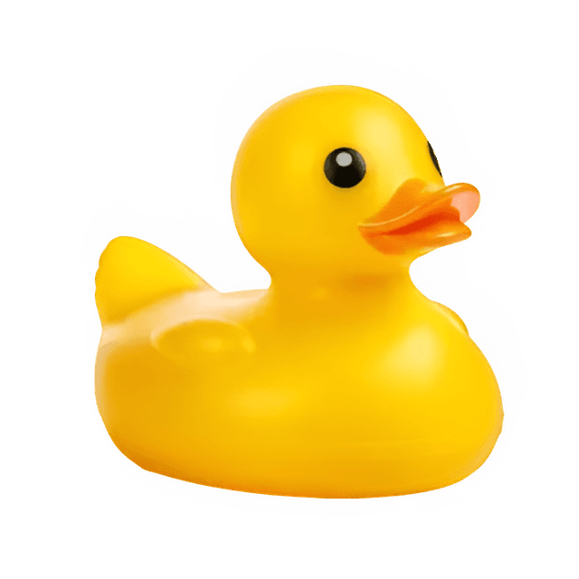 Rubber duck
