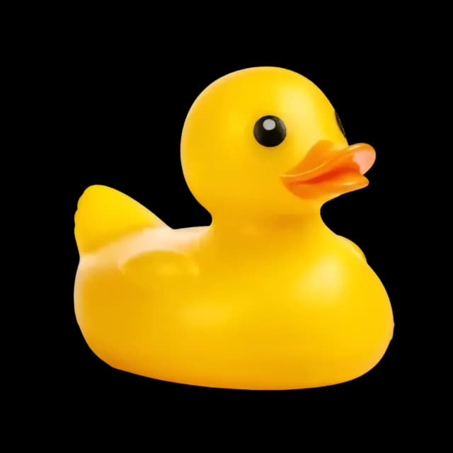 Rubber duck